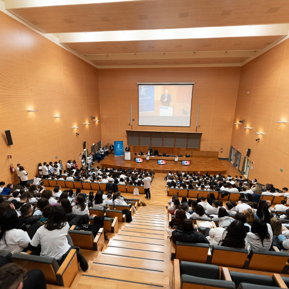 Eventi Pubblici & Festivals